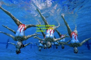 星空体育官网：中国跳水队包揽世界杯三金 小将全红婵再现水花消失术