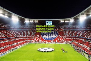 星空体育官网-格拉斯纳荣膺奥地利年度最佳教练 水晶宫战术革新获故乡认可