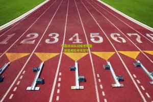 星空体育|中国游泳队闪耀世锦赛，新星崛起老将坚守