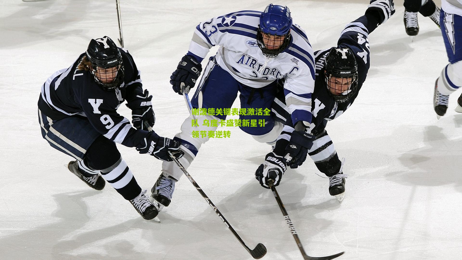 谢泼德关键表现激活全队 乌度卡盛赞新星引领节奏逆转