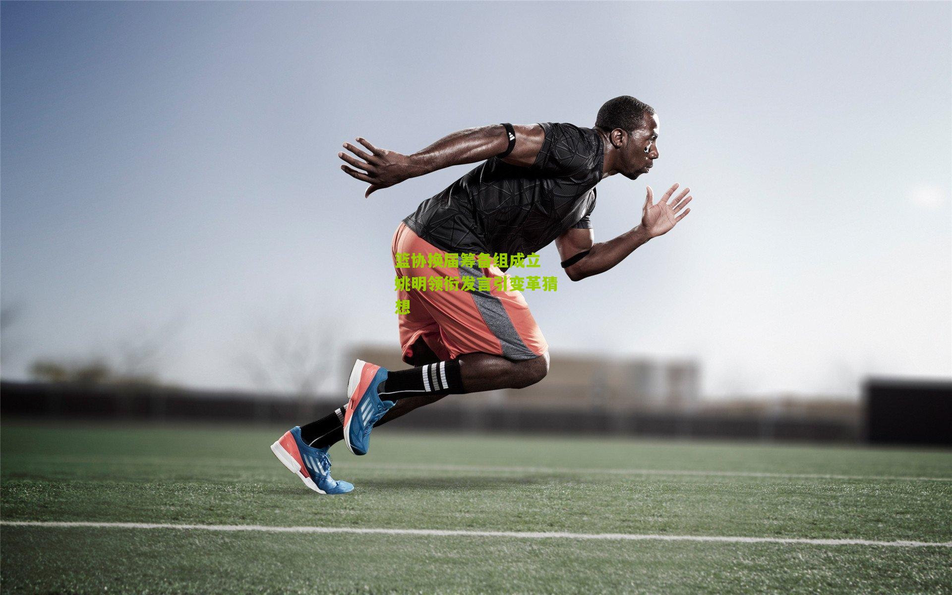 篮协换届筹备组成立 姚明领衔发言引变革猜想