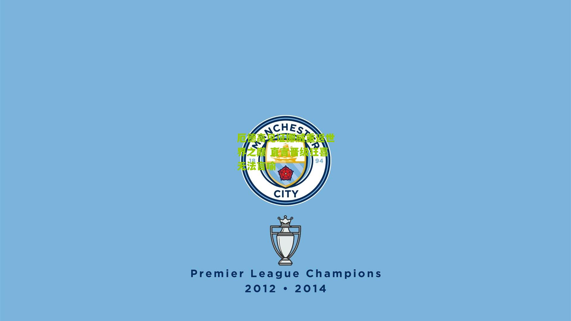 厄德高见证挪威重返世界之巅 直言晋级狂喜无法言喻